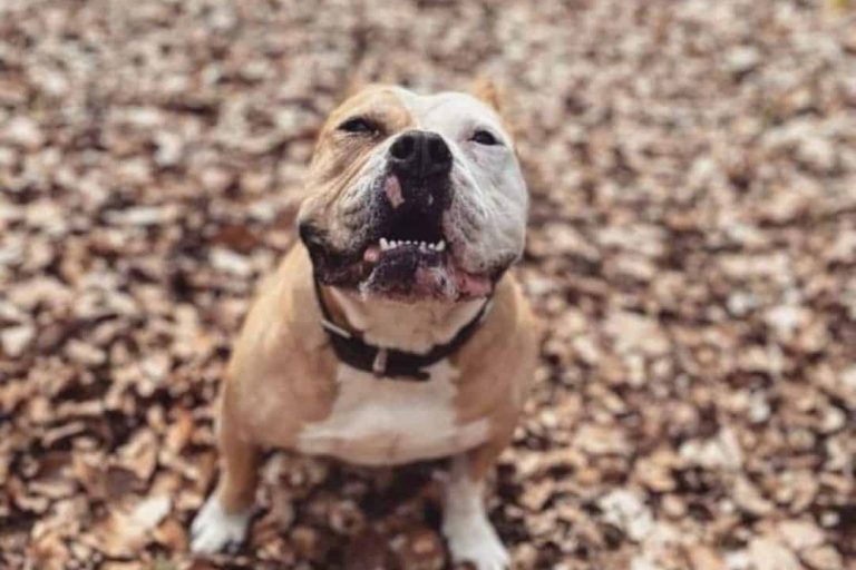 WhatsApp Image 2021-10-18 at 14.15.45 (1)