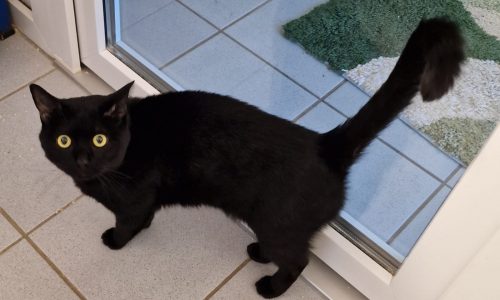 WhatsApp Image 2023-02-01 at 17.16.26 WhatsApp Image 2023-02-01 at 17.16.26