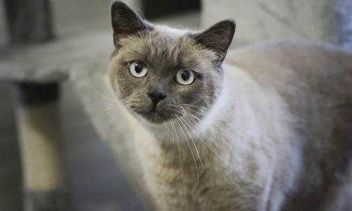 Hunter (2) Hunter (2)